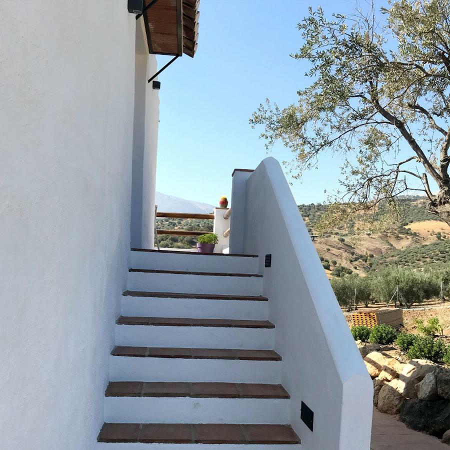 Finca Zayas Casa Rural & Guest Suites Periana Eksteriør billede